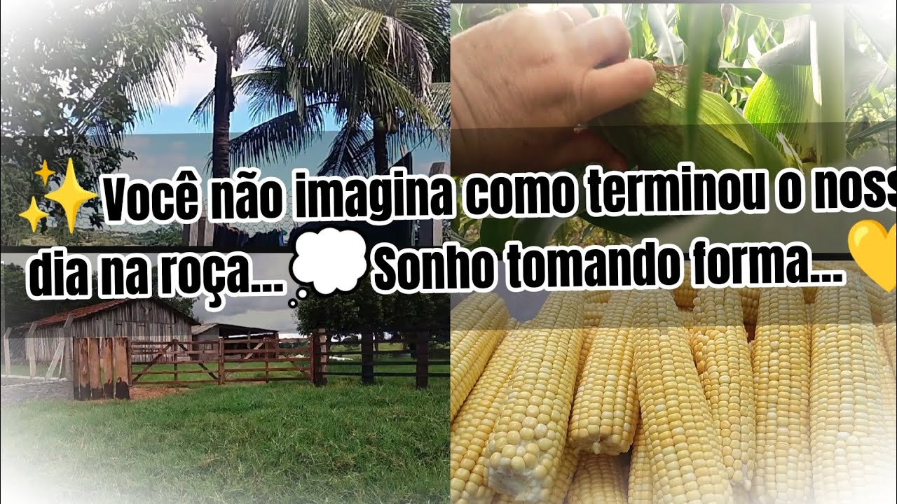Vlog da Roça | Um Dia Simples,Mas Cheio de Trabalho | Veja como ficou nossa porteira | milho verde 🌽