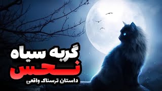 داستان ترسناک گربه سیاه داستان ترسناک واقعی