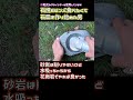 ちーとん。は石皿を手に入れた #shorts