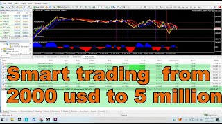 Smart robot FX  from 2000 usd to 5 million in real account / FOREX Funding Prop Firm