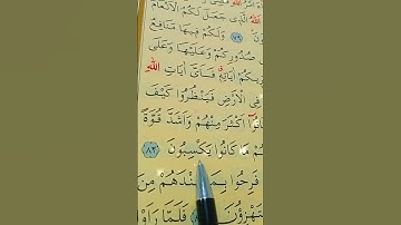 سورة غافر الأية 82 إلى 83 بصوت سعد الغامدي