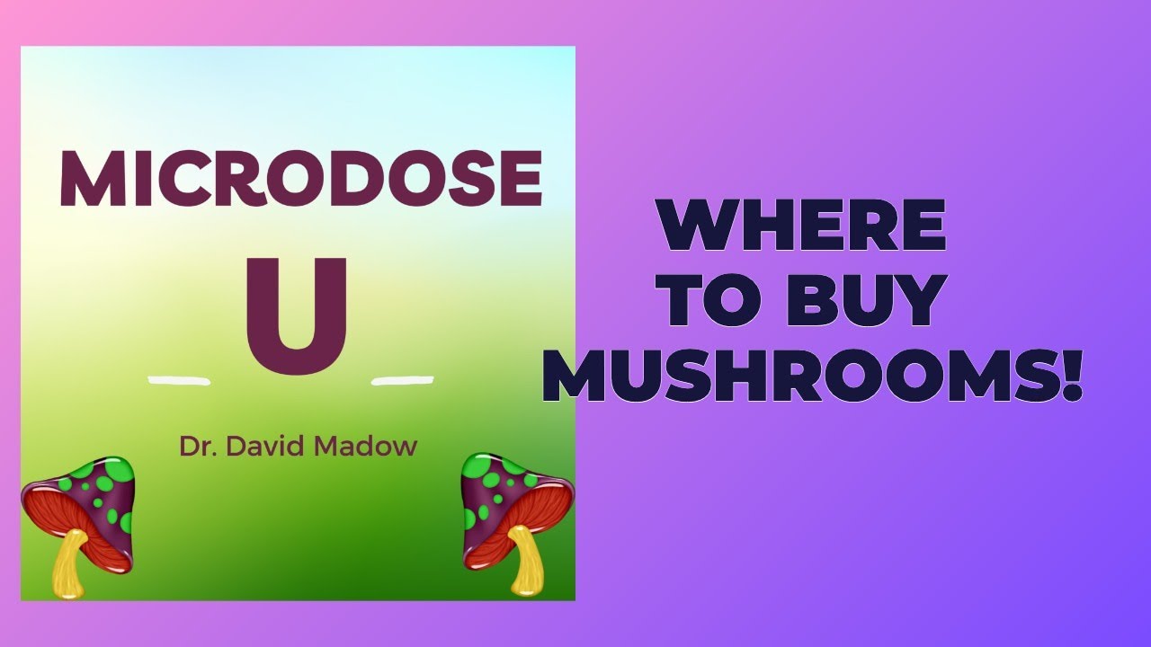 Where to Buy Magic Mushrooms in 2025-2026 (Updated Guide) A