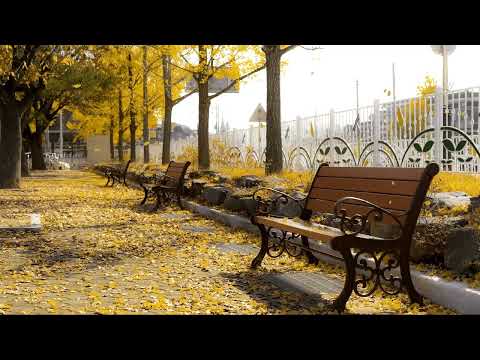 가을 우체국 앞에서 윤도현 2014ver 드라마 슬기로운 의사생활 시즌2 OST 가사