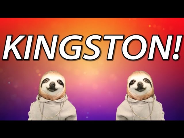 HAPPY BIRTHDAY KINGSTON! - SLOTH HAPPY BIRTHDAY RAP