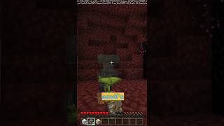 minecrafts easiest duplication glitch