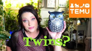 Temu Haul | Blind Box, Birds, Rabbits & More