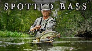 Fly Fishing for Spotted Bass in Small Creeks