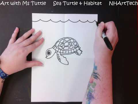 Hvordan man tegner en havskildpadde og levested