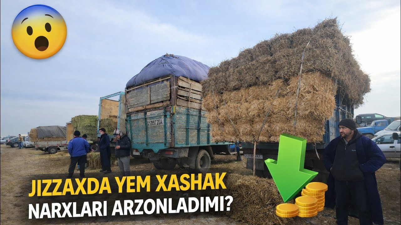 JIZZAXDA YEM XASHAK NARXLARI QANDAY ЖИЗЗАХДА ЙЕМ ХАШАК НАРХЛАРИ 2026 #жиззах #rek #ozod 