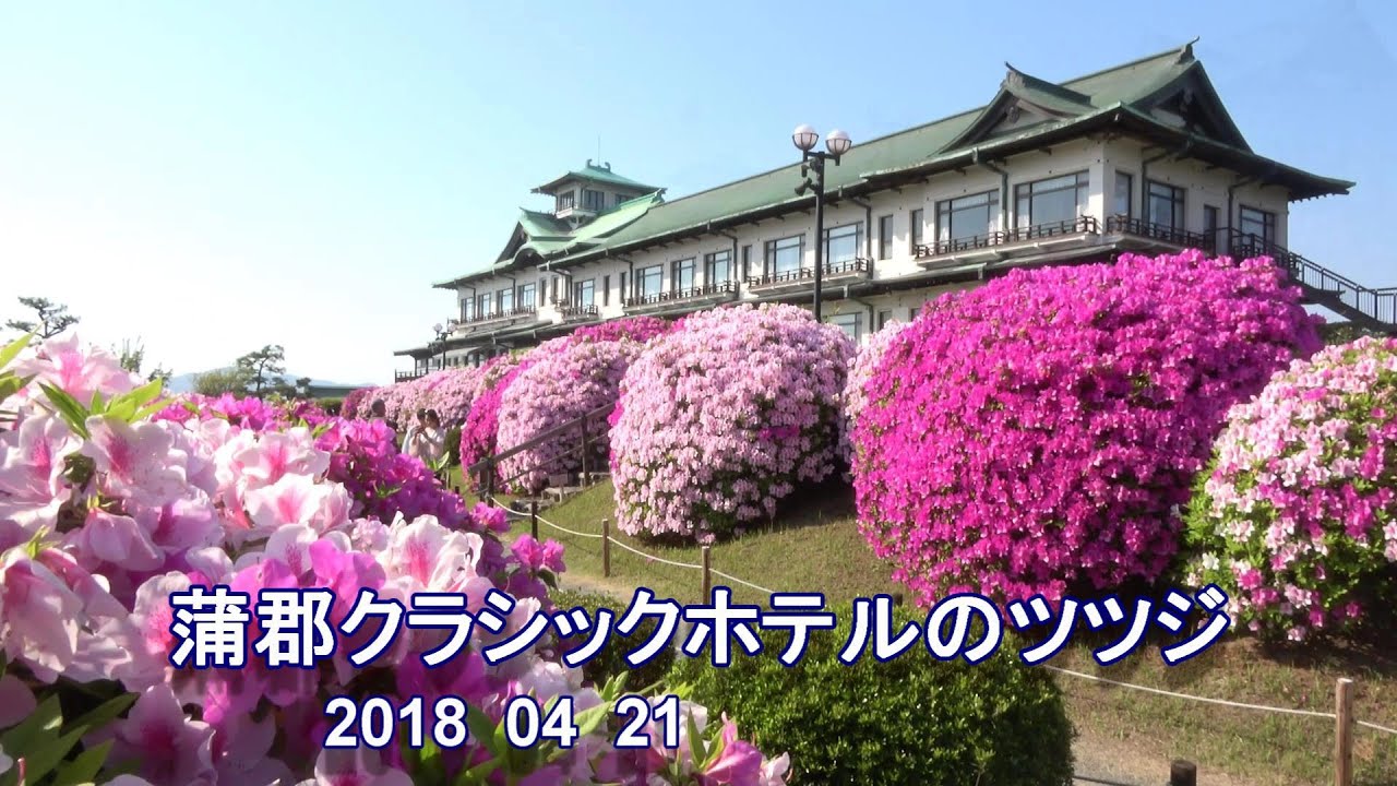 蒲郡クラシックホテルのツツジ 愛知県蒲郡市 Youtube