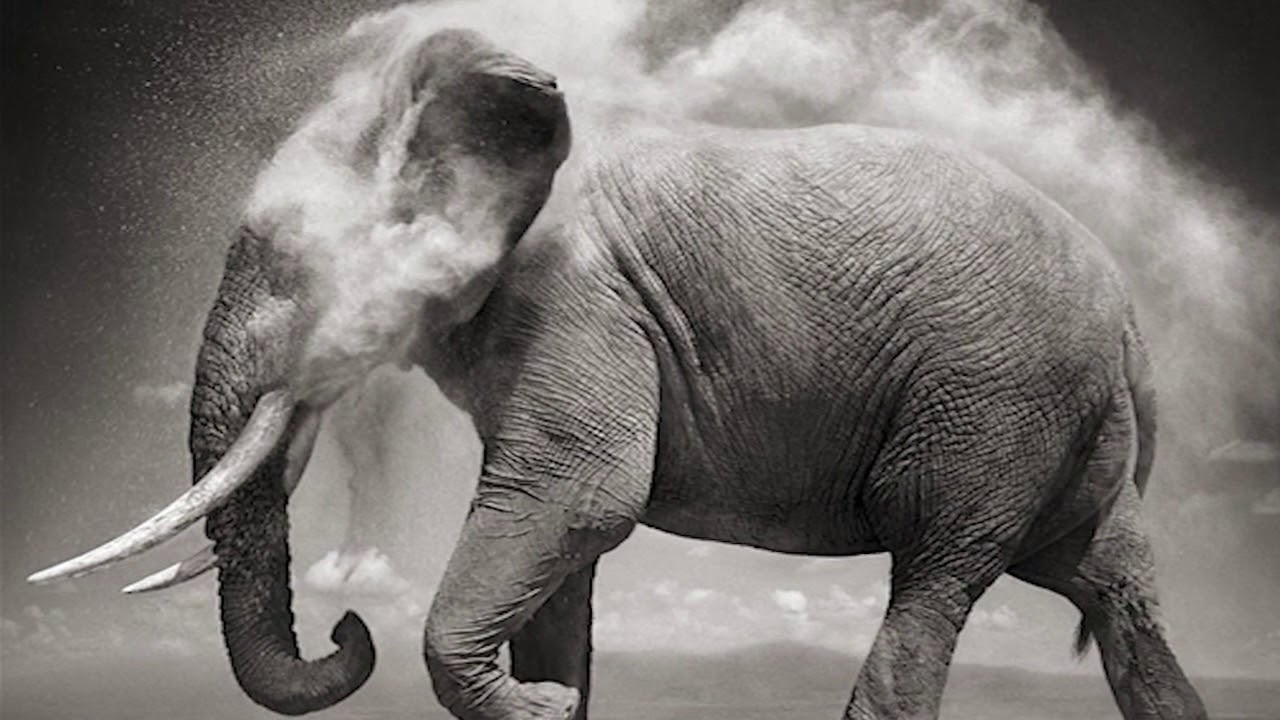 全てのアイテム ON THIS EARTH NICK BRANDT