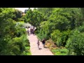 Hamilton Gardens from above...