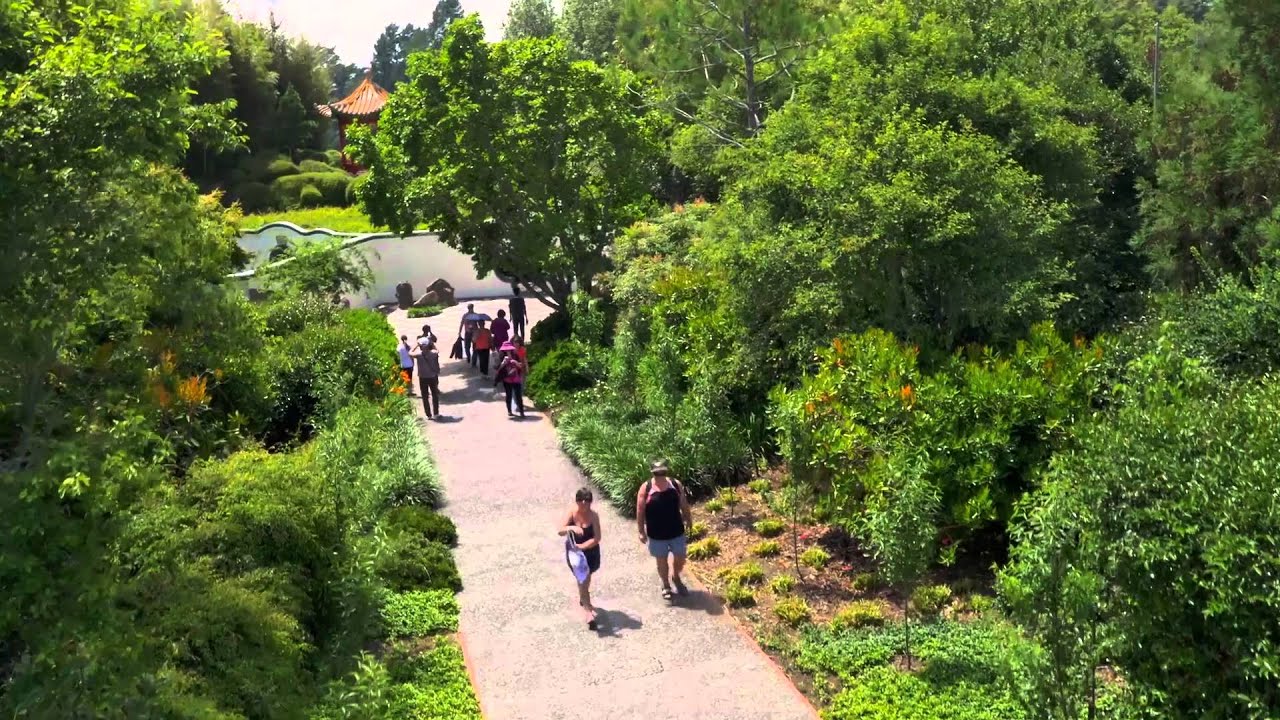 Hamilton Gardens from above...