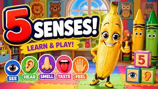 🍌 Benny The Banana Learns The 5 Senses Fun Educational For Toddlers & Preschool Kids