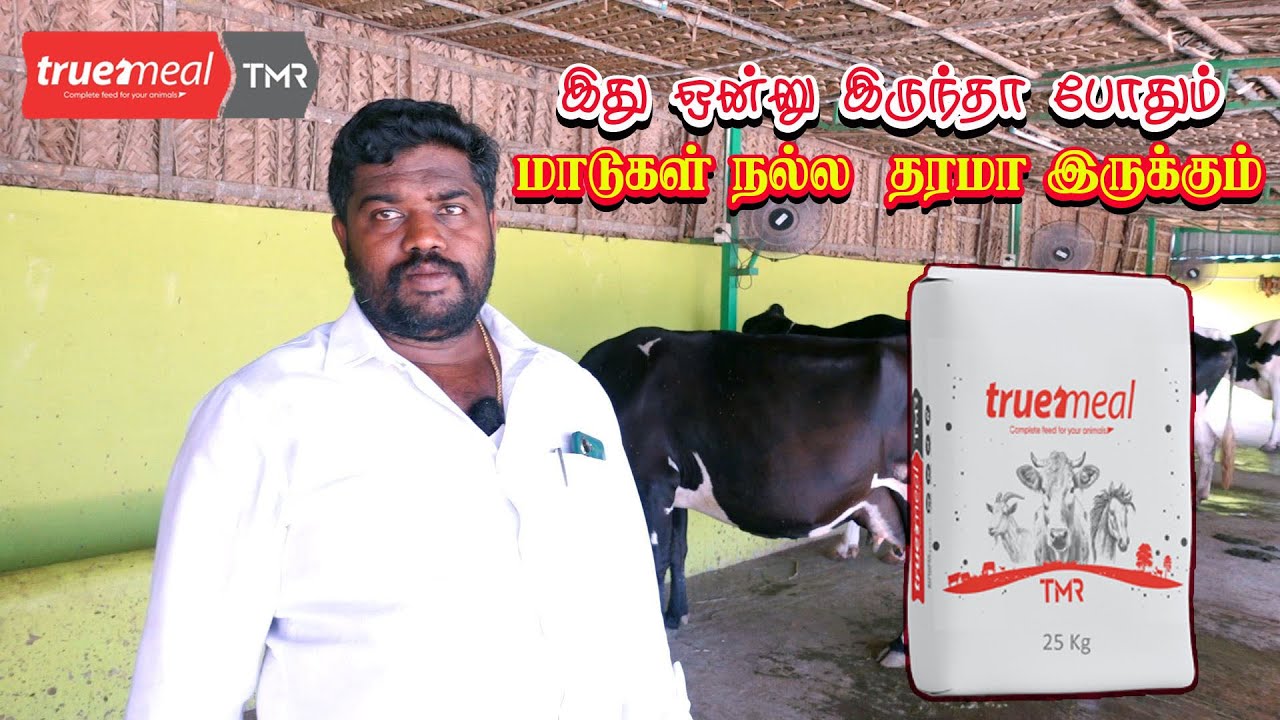 Truemeal TMR  கால்நடைகளுக்கு தேவையான அனைத்து தீவனங்களும் அடங்கிய ஒரே தீவனம். 9381311535 / 9994048115