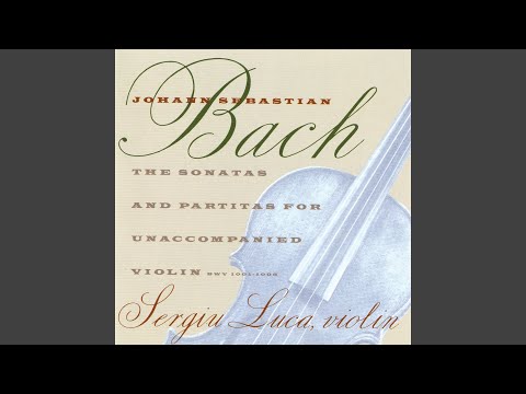 Partita No. 2 in D minor, BWV 1004: Ciaccona