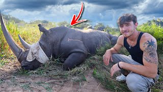 Saving Rhinos From Poachers in South Africa - Rescue Mission!