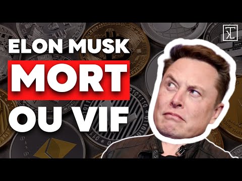 Crypto : fin du Bullrun + Game Over pour Elon Musk  ?