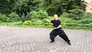 картинка: Малая форма хуньюань тайцзи, Антон Антонов, 29.05.25