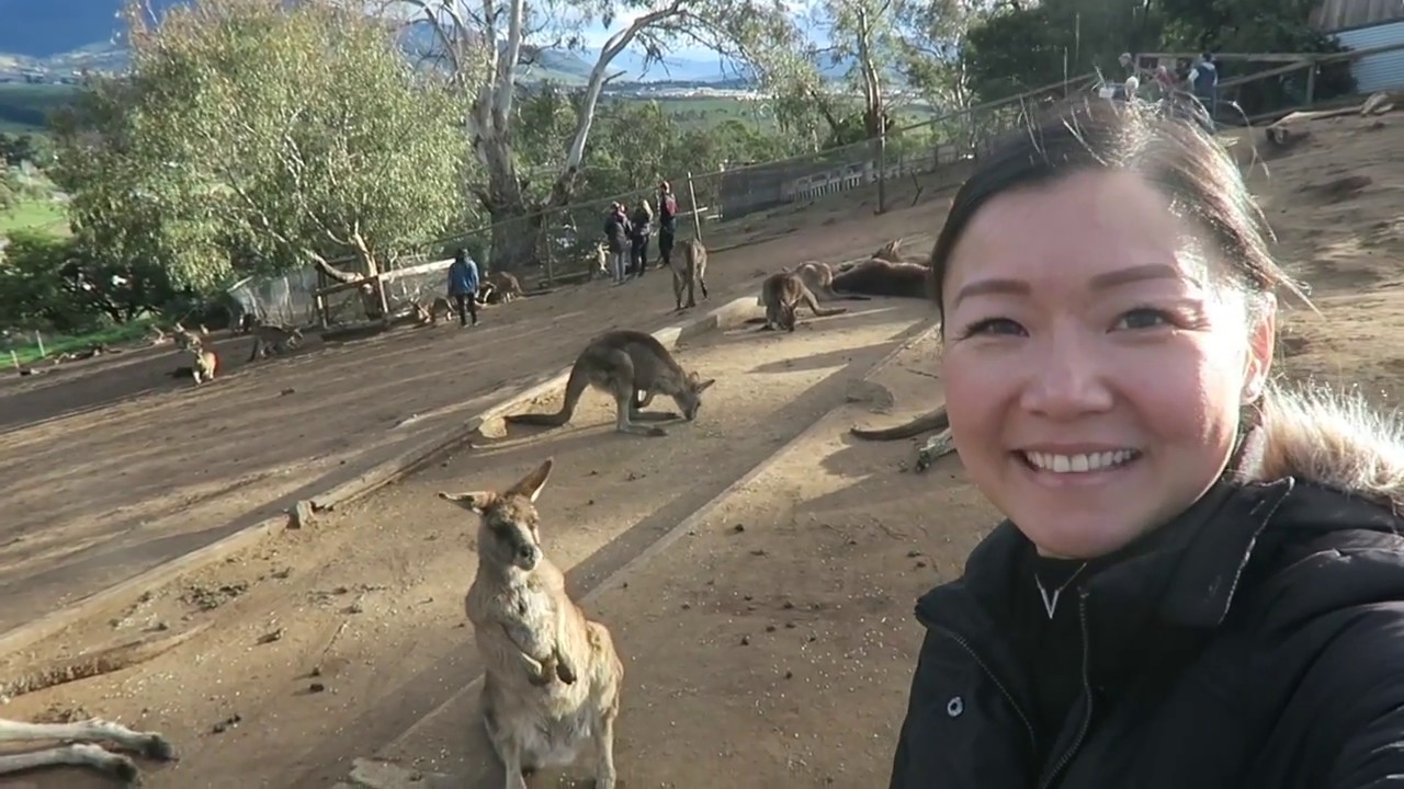Tasmania Vlog | KristinaCC