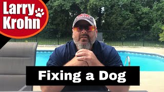 Fixing a dog that has had bad e collar training