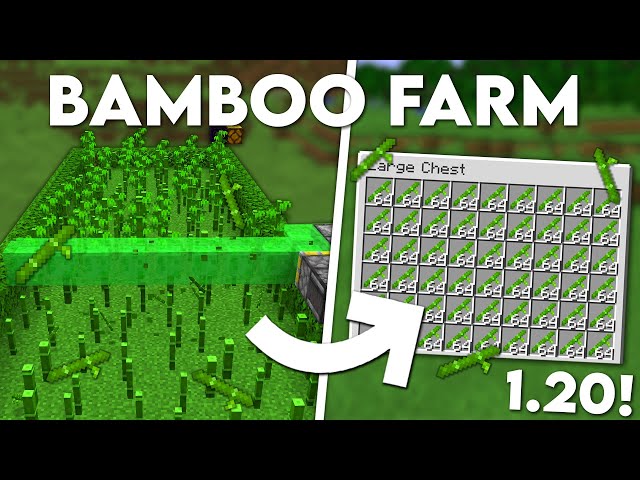 Minecraft Automatic Bamboo Farm - 1.20+ Tutorial - YouTube