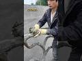🏗️ Amazing Cement Hacks | DIY Construction & Molding Ideas 🧱