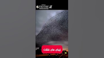 قاری عبدالعزيز العسيري:(إن في خلق السماوات والأرض)آيات التفكر، زیبای های خلقت