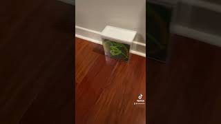 The ETB Wall gets a Celestial Storm ETB!