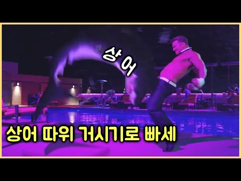 [결말포함] 병맛 같지만 보다보면 자신도 모르게 빠져드는 영화  <strong>백상아리</strong> 메갈로돈 진화