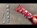 この釣り方は遠浅の海であまりにも大物が釣れすぎる…