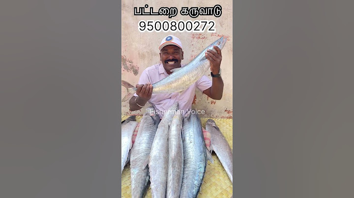 பட்டறை நெய்மீன் வஞ்சிரம் கருவாடு தயார் | Call 9500800272 #pattarai #karuvadu