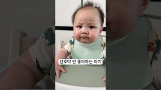 D+211 처음 먹는 #단호박 에 #미간주름 장착!🎃 #7개월아기 #이유식 #초기이유식 #편식 #아기일상 #육아 #육아일상 #트립트랩 #cute #baby #babyboy