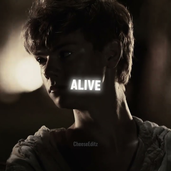 Would you accept this trade? | Maze Runner Edit.