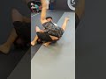 arm bar counter