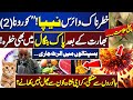 Deadly Nipah Virus | Pakistan on High Alert | Public Warning Issued | Corona 2.0? -India- Dunya News