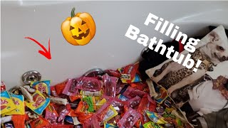 FILLING My BATHTUB up with CANDY!🎃