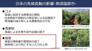 気候変動の影響と対応策
