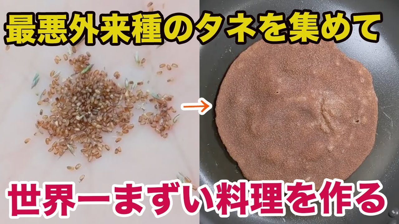 最悪外来種のタネで世界一まずい料理を作った結果