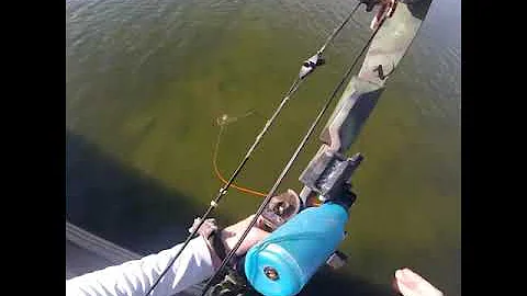 Insane bow fishing shot from a dam by Stephen bana...