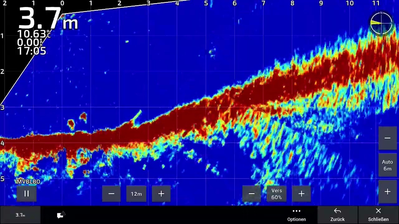 Garmin LVS34 Zickige Zander vom Polestar 9.9