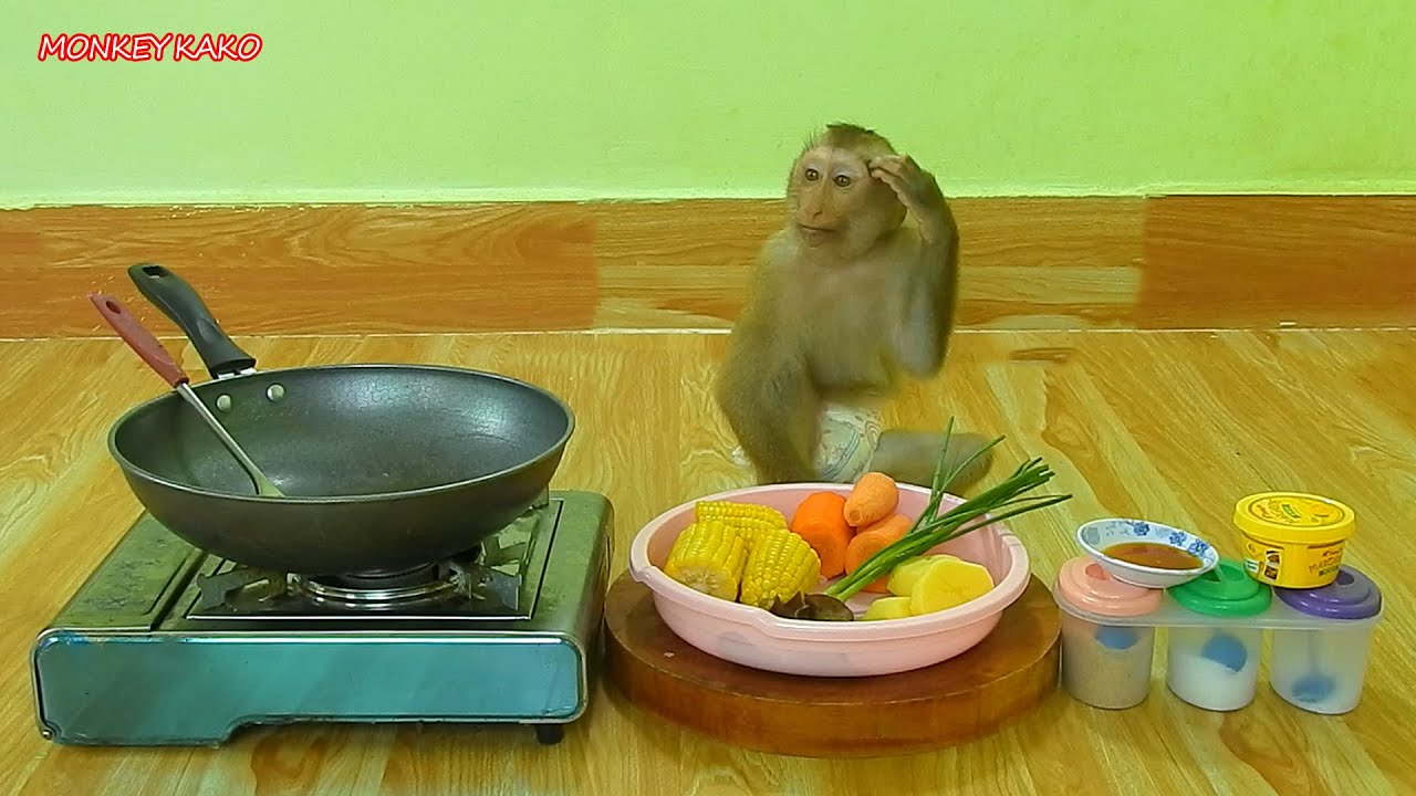 Master Chef Assistant Monkey Kako Cooking Stir Fried Corn With Vegetable Recipe