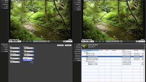 3cP SET + POST: Training Video - Working with Reference Images & Profiles