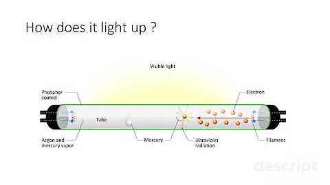 How do Fluorescent Lights works ?