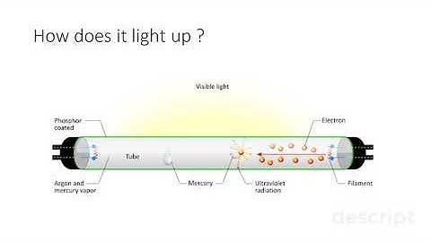 How do Fluorescent Lights works ?