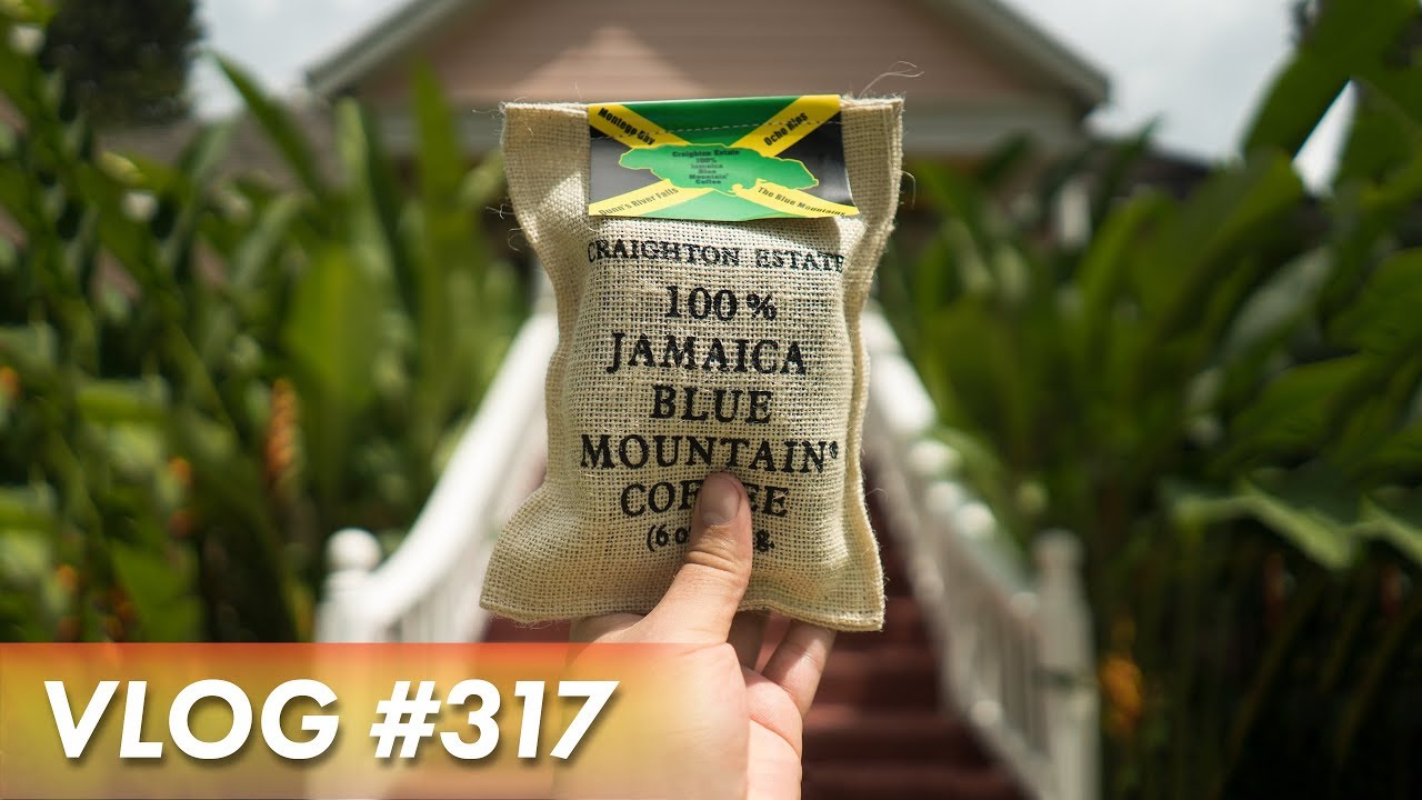 TRYING THE BEST COFFEE IN THE WORLD 🇯🇲 Jamaica YouTube