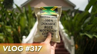 TRYING THE BEST COFFEE IN THE WORLD - 🇯🇲 Jamaica
