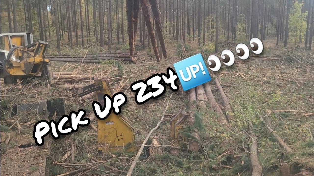 234 Loading Chip n Saw & Pine Saw Timber‼️ ttloggingshow gottagetit