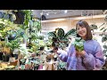 【観葉植物仲間入りしました】2023.02.10