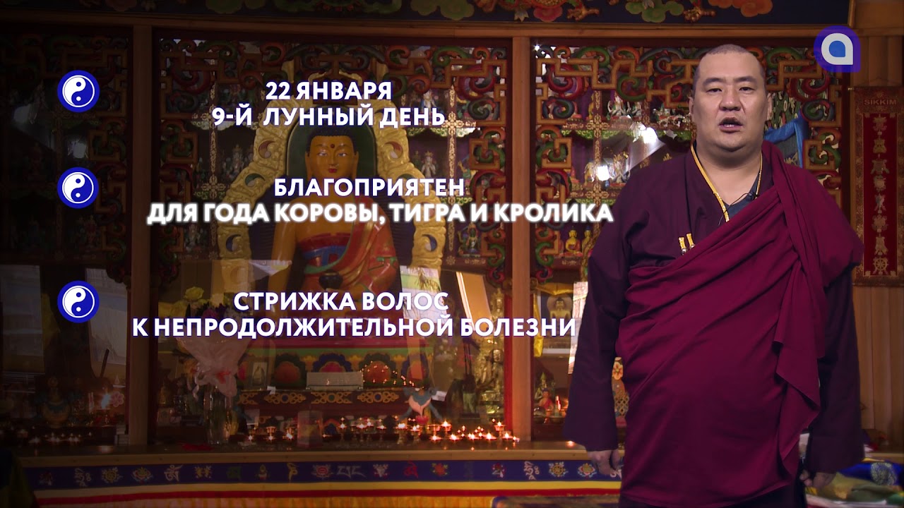 22 января зурхай. зурхай на неделю январь 2024 года. зурхай на неделю январь 2024 года. зурхай на неделю январь 2024 года. зурхай 2023.